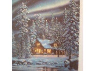 Christmas house on a river